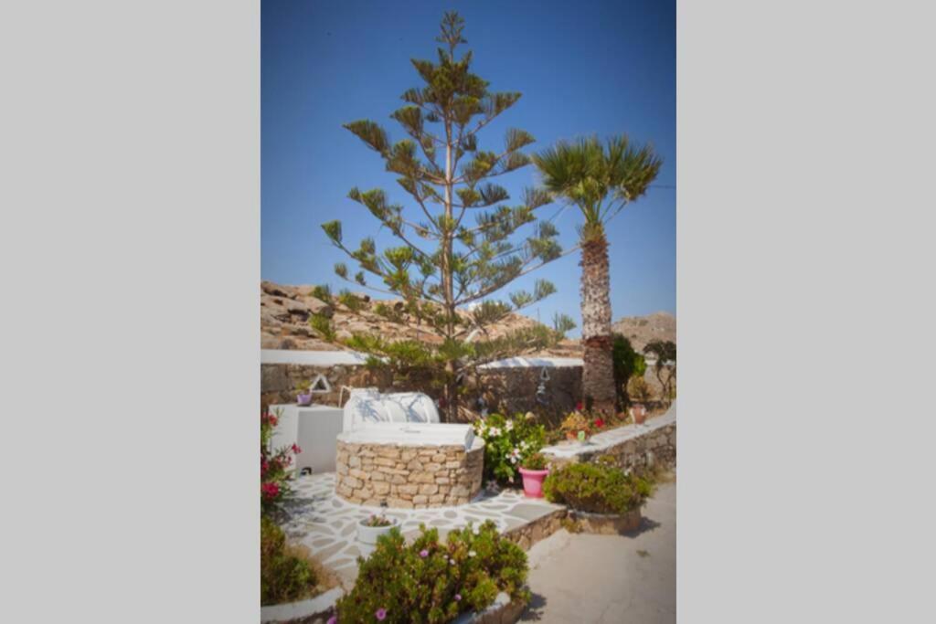 White Dreams Studio Mykonos Town Zewnętrze zdjęcie